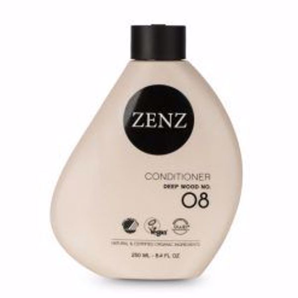 08 Conditioner 250