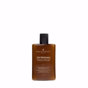 Color Maintenance 320ml